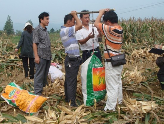 ��կ�f�����׸߮a(ch��n)��(chu��ng)��ʾ���(xi��ng)Ŀͨ�^�(y��n)�գ��D��