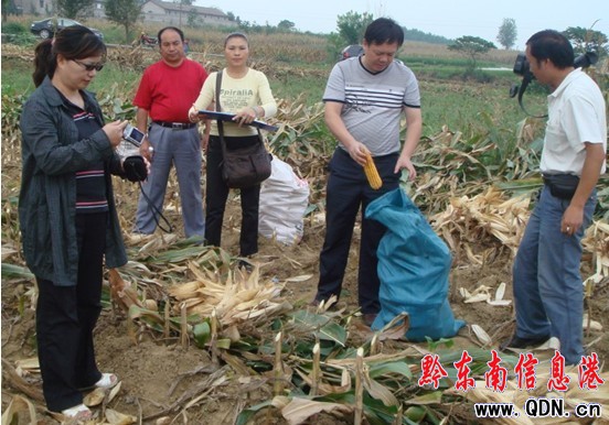 ��կ�f�����׸߮a(ch��n)��(chu��ng)��ʾ���(xi��ng)Ŀͨ�^�(y��n)�գ��D��