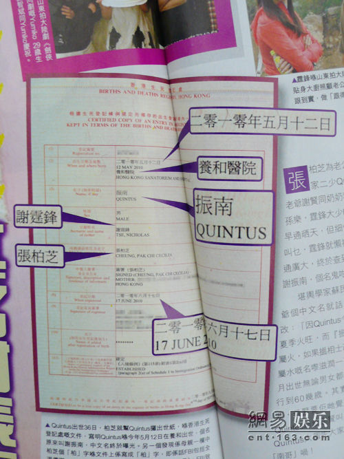 張柏芝二子中文名謝振南 港媒曝出生登記表(圖)