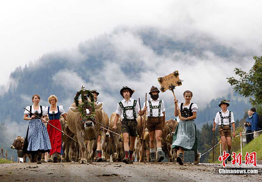 �������sţ�xʽ�c�R�����w��