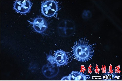 �L���˰��� �һ�ˮĸҪ��Ϣ�ˣ����D��