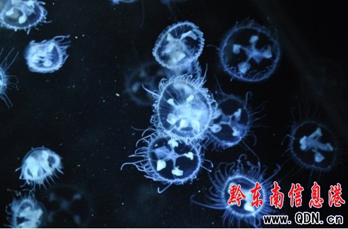 �L���˰��� �һ�ˮĸҪ��Ϣ�ˣ����D��