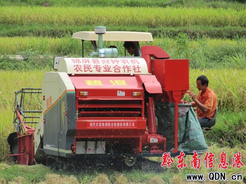 錦屏鐘靈鄉(xiāng)百臺農(nóng)機(jī)具奏響秋收曲