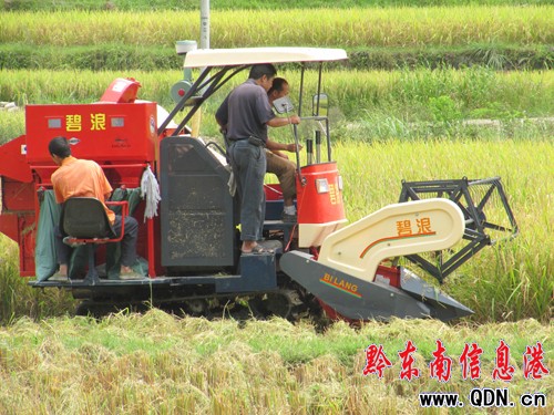 錦屏鐘靈鄉(xiāng)百臺農(nóng)機(jī)具奏響秋收曲