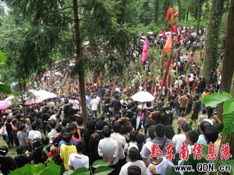 從江苗胞喜過“新米節”(組圖)