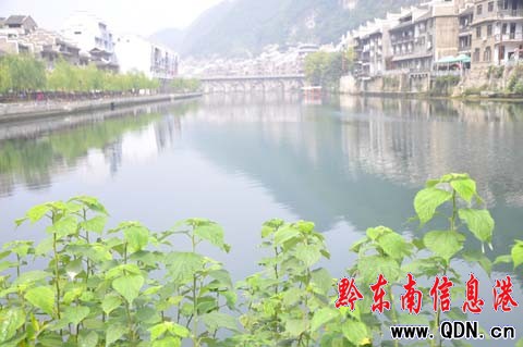 ��h�����n���ų�ӭ��ˇ�g�����D��