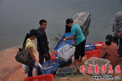 劍河仰阿莎湖漁業(yè)發(fā)展方興未艾(圖)