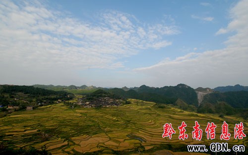 ��կ�������������箋���D��