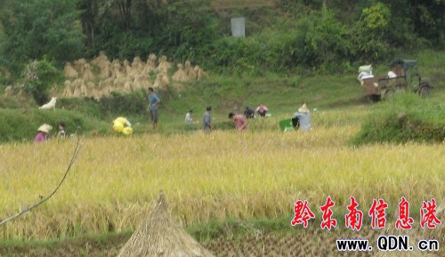 �S�����_̫� �r������ϲ���󣨈D��