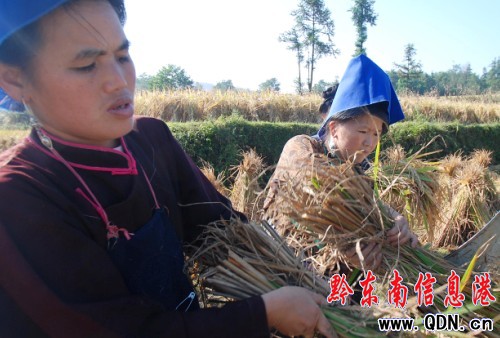 �F�ݵ�կ������ʮ����æ(�D)