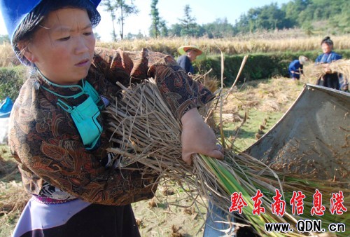 �F�ݵ�կ������ʮ����æ(�D)