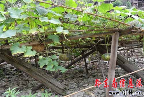 ����ʮ�� �Ϲ��h�㣨�M�D��