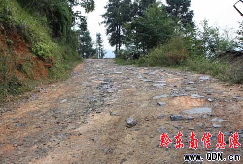 �\���޽�ƫ�h(yu��n)�l(xi��ng)��Ⱥ���P(gu��n)�ĵġ�����·��