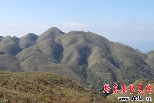 �_(t��i)���@�u(p��ng)���������ɫ�������h���D��