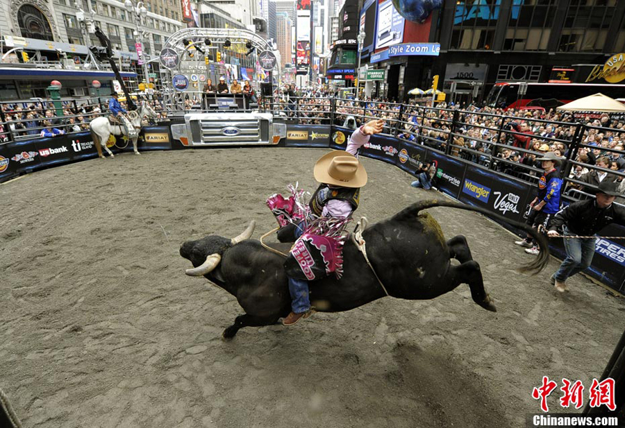 美國紐約時(shí)報(bào)廣場上演騎牛大賽