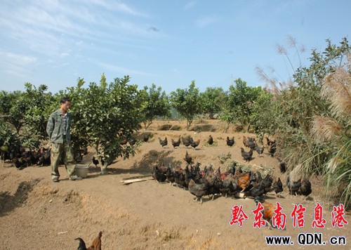 ��W���I��ʯ�c��Ͷ��10�f���I�B���u���D��