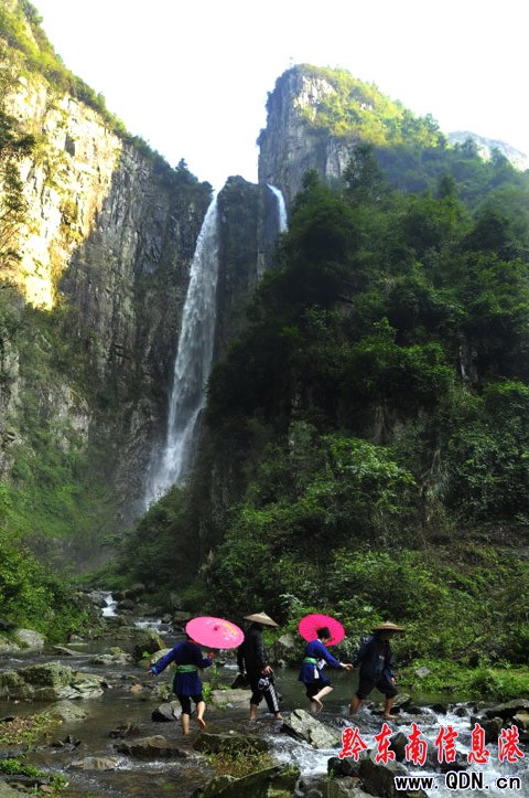 100個侗寨群眾匯聚云霧山比智慧 唱侗歌看斗牛