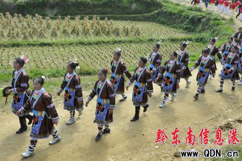 100個侗寨群眾匯聚云霧山比智慧 唱侗歌看斗牛