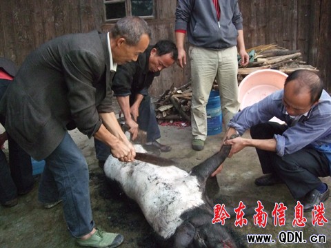 ��ɽ�_�X��կ¡�ؚg�ȡ��Ĳع�(ji��)�����M�D��