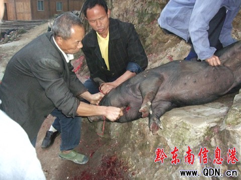 ��ɽ�_�X��կ¡�ؚg�ȡ��Ĳع�(ji��)�����M�D��