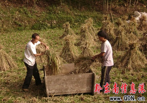 �\���hɽ�^(q��)Ⱥ��ץ�o�r�C������Z���D��