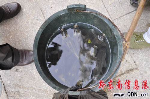 �I�������~ȫ���Ǽ�؛ ���~���~զ�ֱ棿���D��