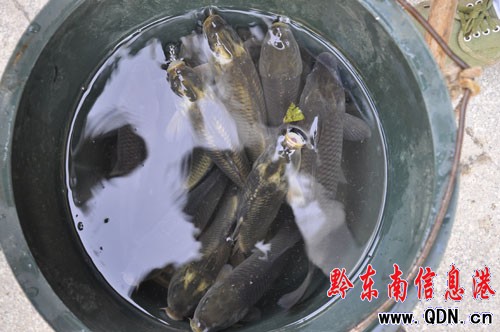 �I�������~ȫ���Ǽ�؛ ���~���~զ�ֱ棿���D��