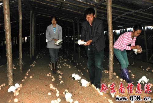 �h֧����ӛۢ���x�lչ���p�¸��o����Ӗ�r��200����