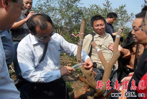 ��ƽ�e�k�Ͳ���ع������g��Ӗ��(�D)