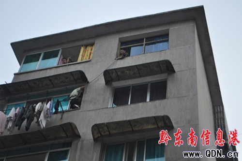 ���ˉĵķ��I�T�y���_�i�� �Sƽ�������ֽ���