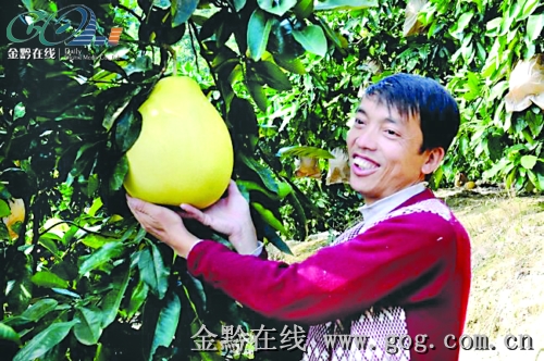 ���ĵ����h(yu��n)�N�Ϻ��V�|���D��