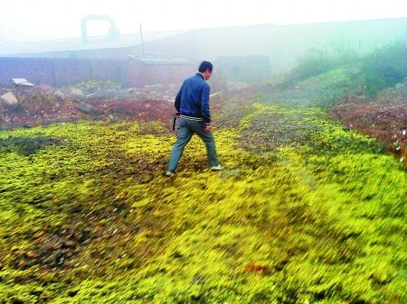 �������ضѷ�52�f���t�� �֌�������(sh��)����