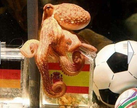 ���~���_�������š� ���籭8��8���������E