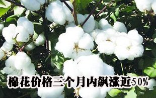 �޻��r(ji��)�񡰸ߟ����y�� ����(g��)��(n��i)�j�q��50%