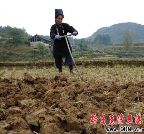 ���l��æ�ﶬ�N���D��