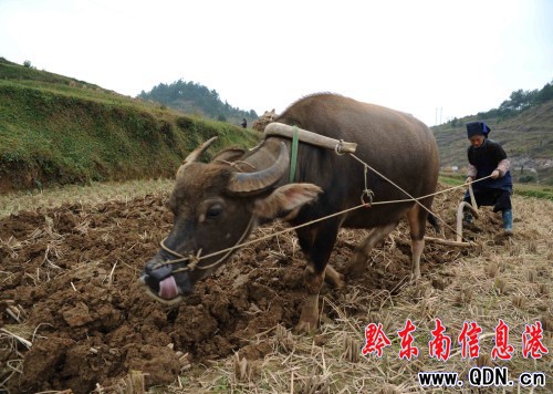 ���l��æ�ﶬ�N���D��