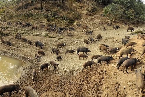 ��hһ�r�����BֳҰ�i��200�^���D��