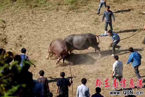 ��կ�h�P(y��ng)���l(xi��ng)�f(w��n)�˹��c���¹�(ji��)���D��