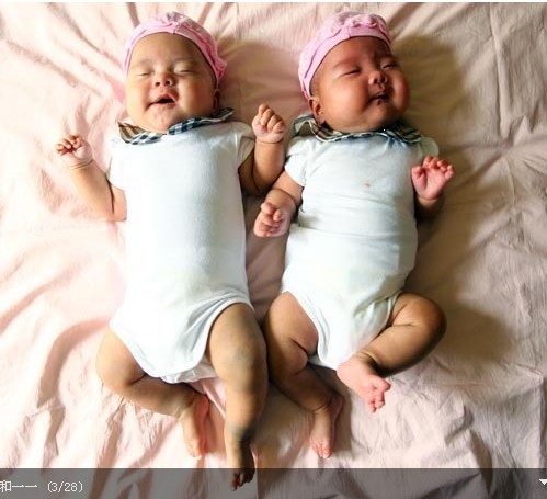 ƹ���܊�ĺ��ӂ� �������p��̥Ů���ع�(�D)