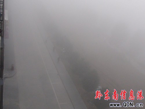 �������F����̫ꖳʬF�����ľ��Σ��D��