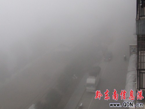 �������F����̫ꖳʬF�����ľ��Σ��D��