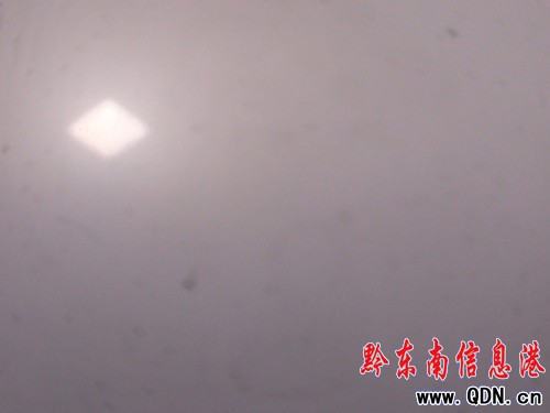 �������F����̫ꖳʬF�����ľ��Σ��D��