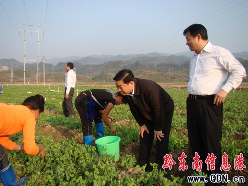 耿生茂到榕江督查指導工作(組圖)