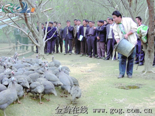 ӛ�Ž��h��ȫ���r(n��ng)����Վ��^�ˡ�������