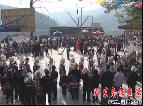 �_���Ŕ[�Ĳع��L�����οͣ��D��