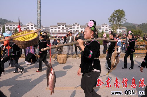 2010���Ї�����ɽ�����������Ĳع��_Ļ���D��