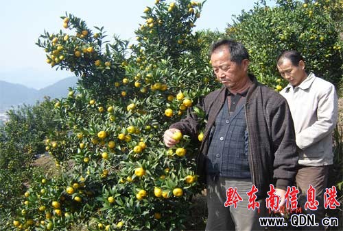 �\��С���ϲ�@�S��  ���r�������¸�����·