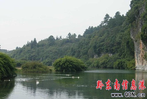 ��ƽ�R�\�� ���e��ឺ�ȥ̎���D��