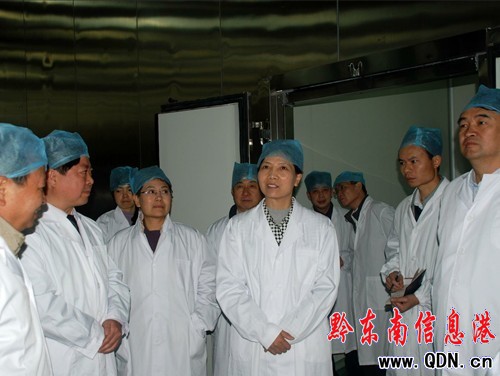 ʡ���������L�R�O��ҕ��P�｛���_�l�^���D��