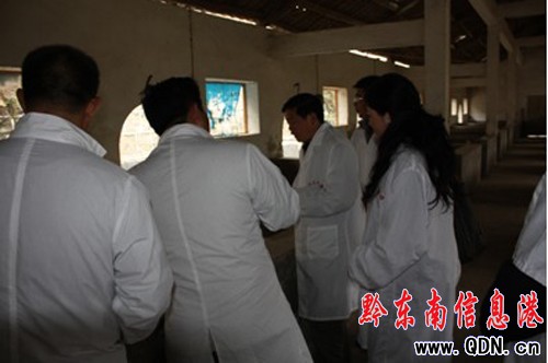 從江縣香豬養(yǎng)殖示范區(qū)通過國家驗收(圖)